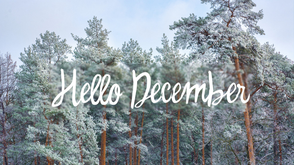 Hello December